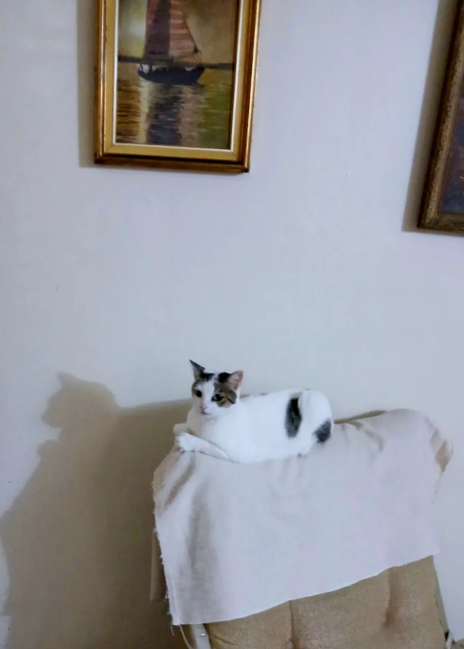 20250618_205118.jpg
