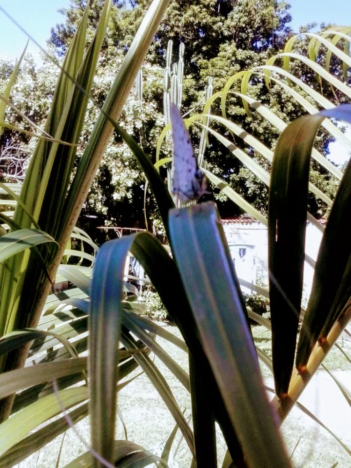 CAM00086.jpg