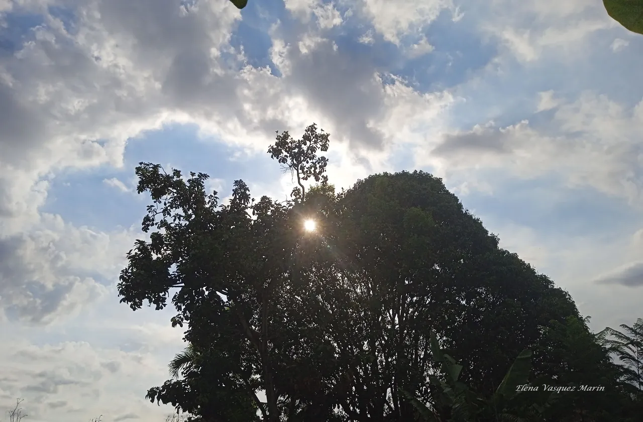 IMG_20220315_083509.jpg
