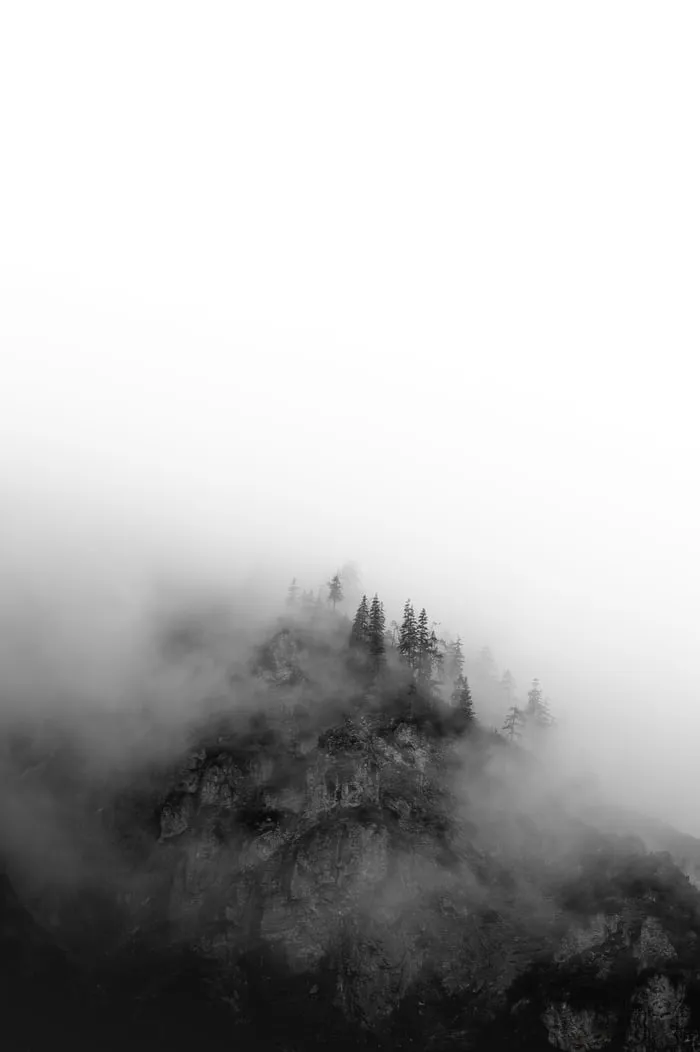 photo-1600977961065-4c41f95a32a6.jpeg