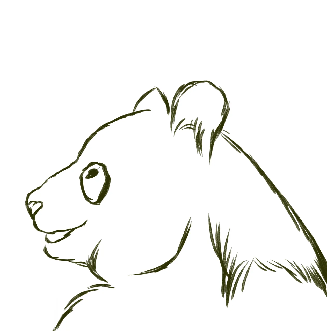 panda1.png