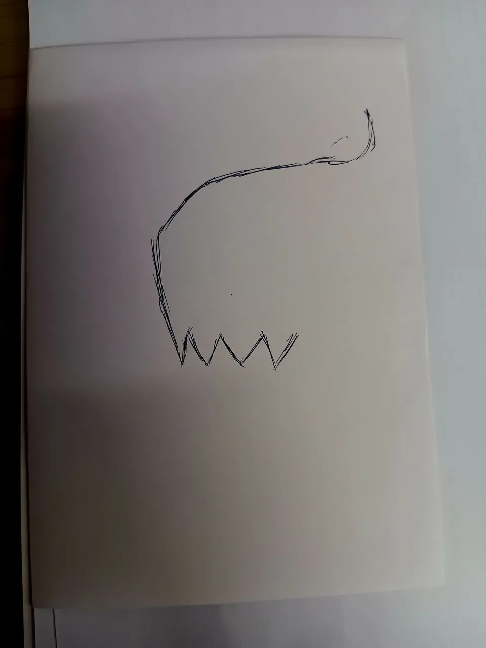 1000020030.jpg