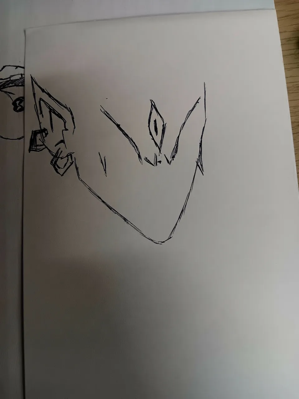 1000020025.jpg