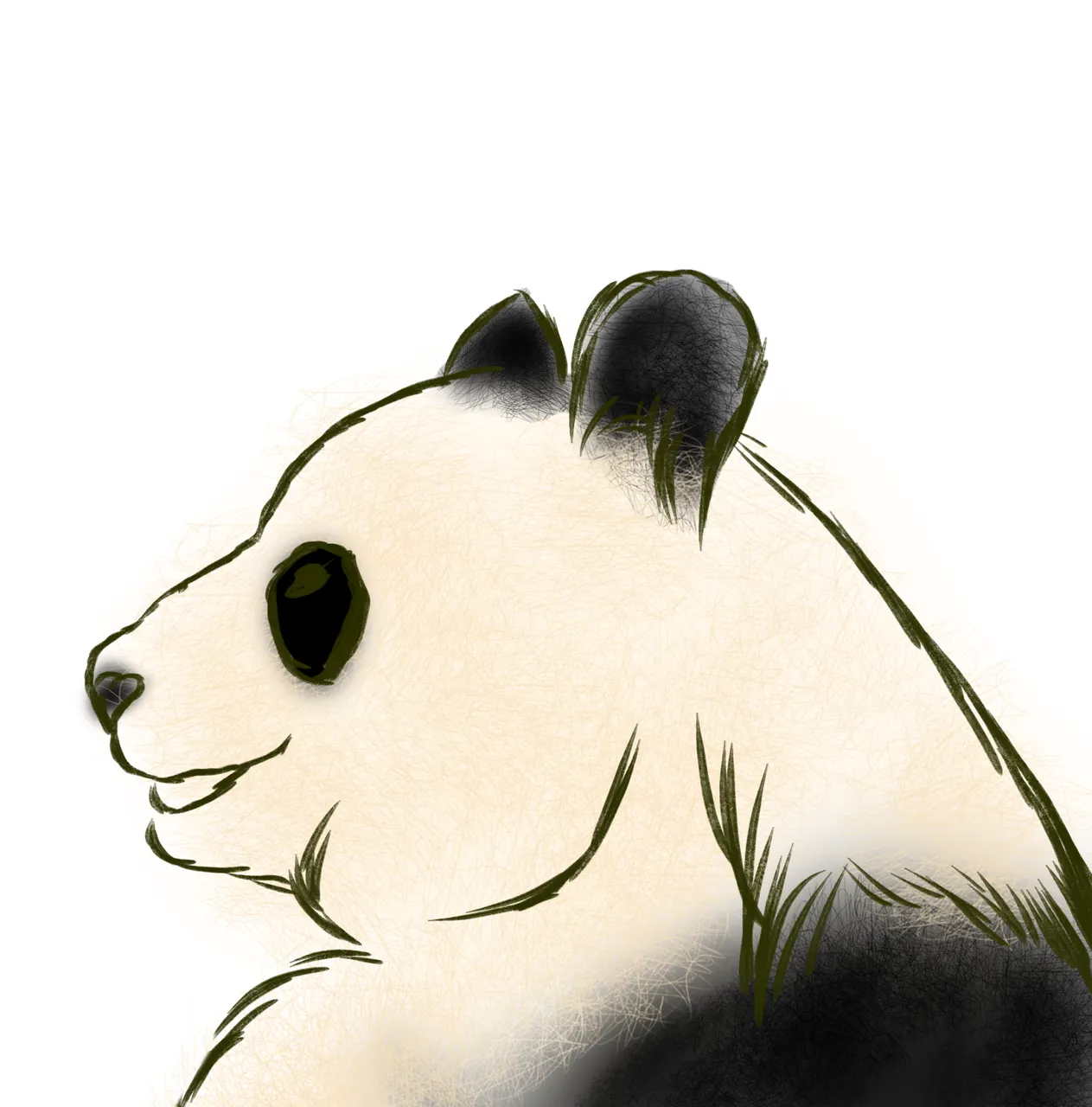 panda2.png