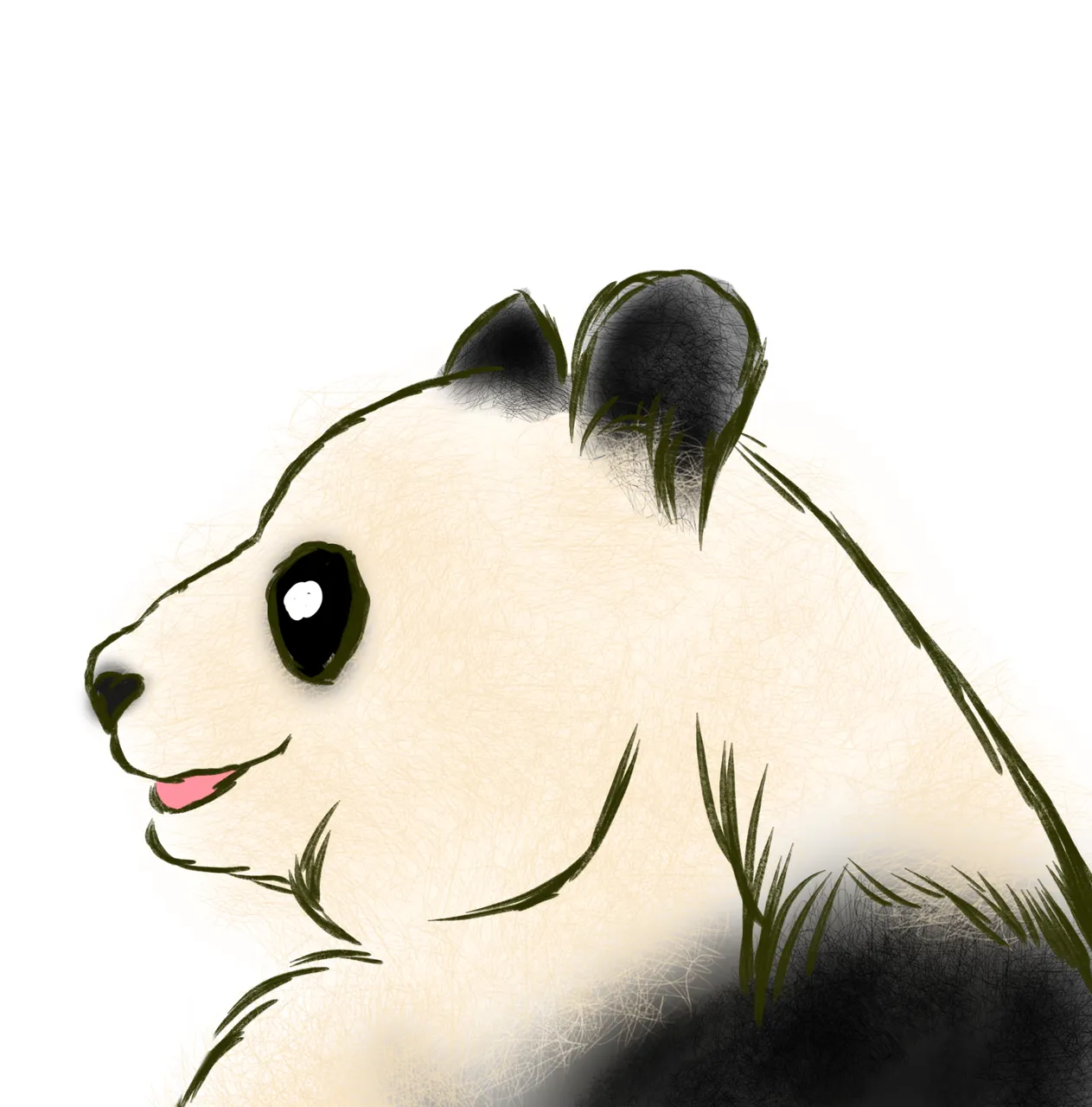 panda3.png