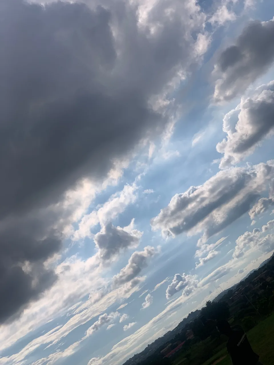 IMG_1300.jpeg