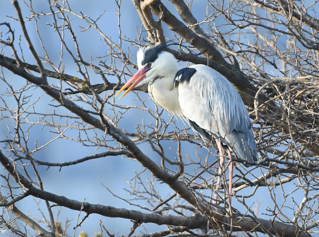 DSC_3197.JPG