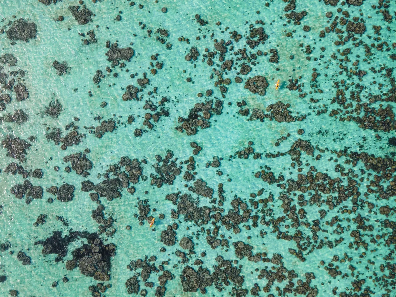 DJI_0072.jpg