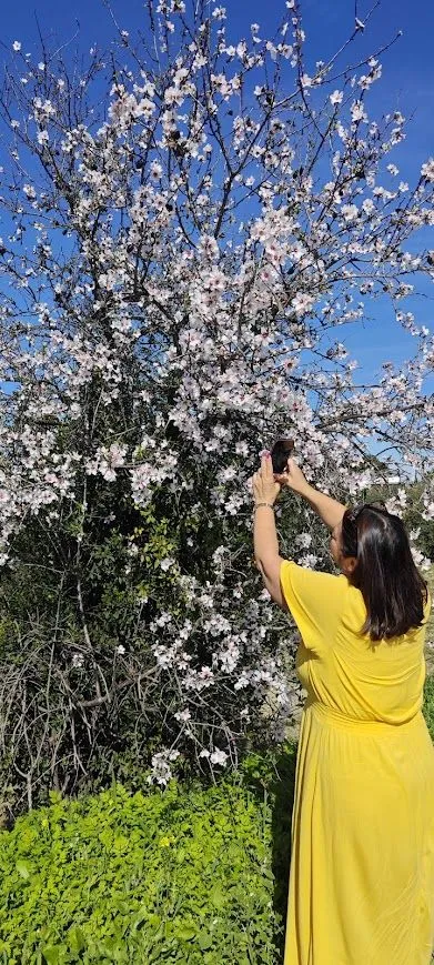 Mandelblüte mit Sabine.jpg