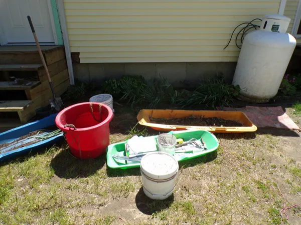 Old North  weeding and transplanting crop May 2020.jpg