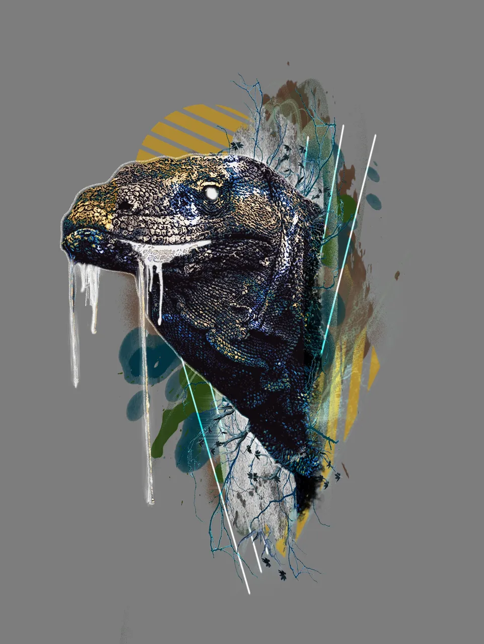 DRAGRAO KOMODO.jpg