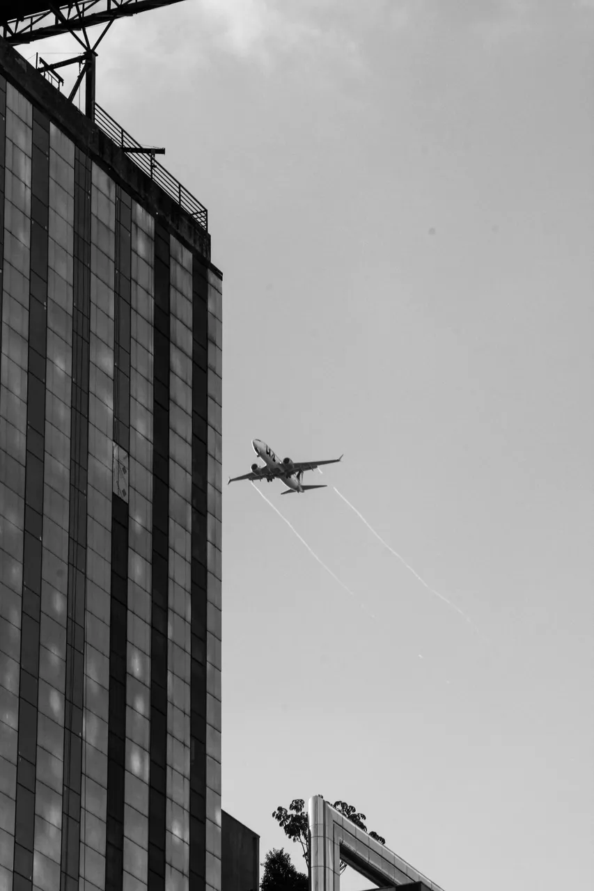 _MG_3180.JPG