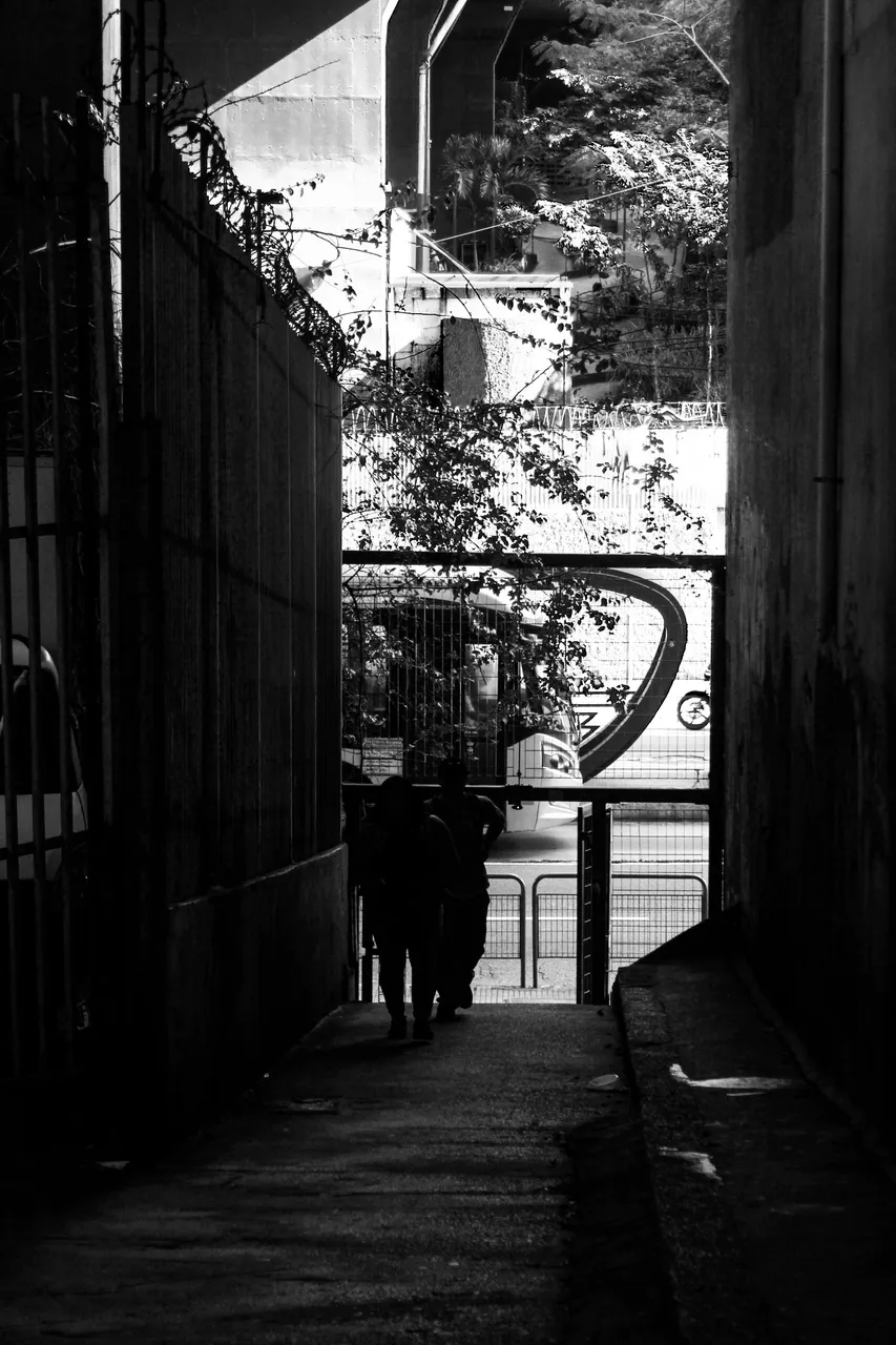 _MG_3158.JPG