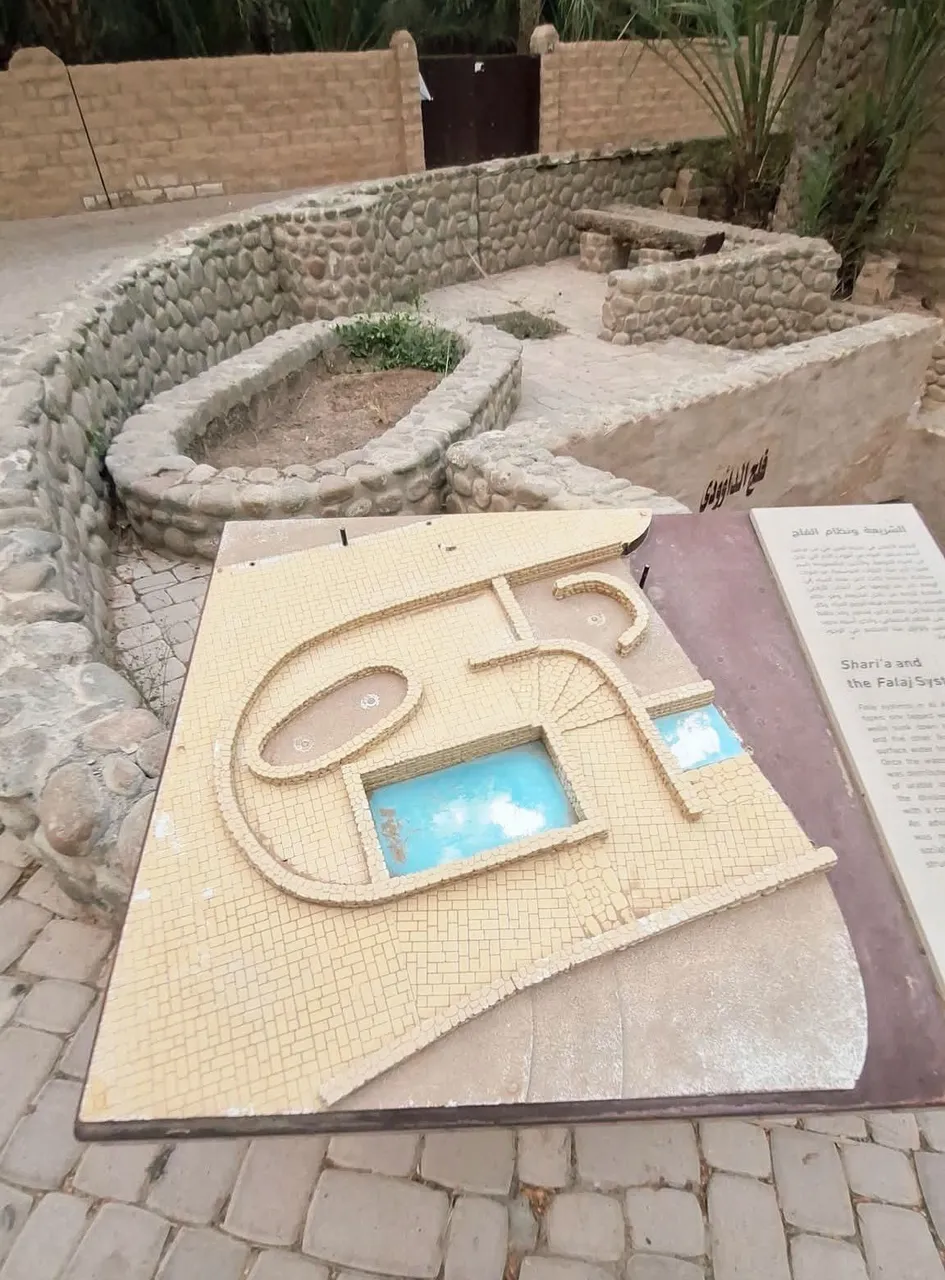 373.jpg