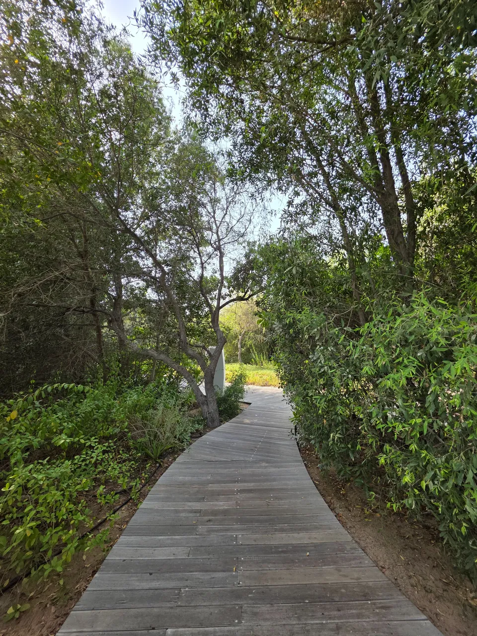 20250608_154809.jpg