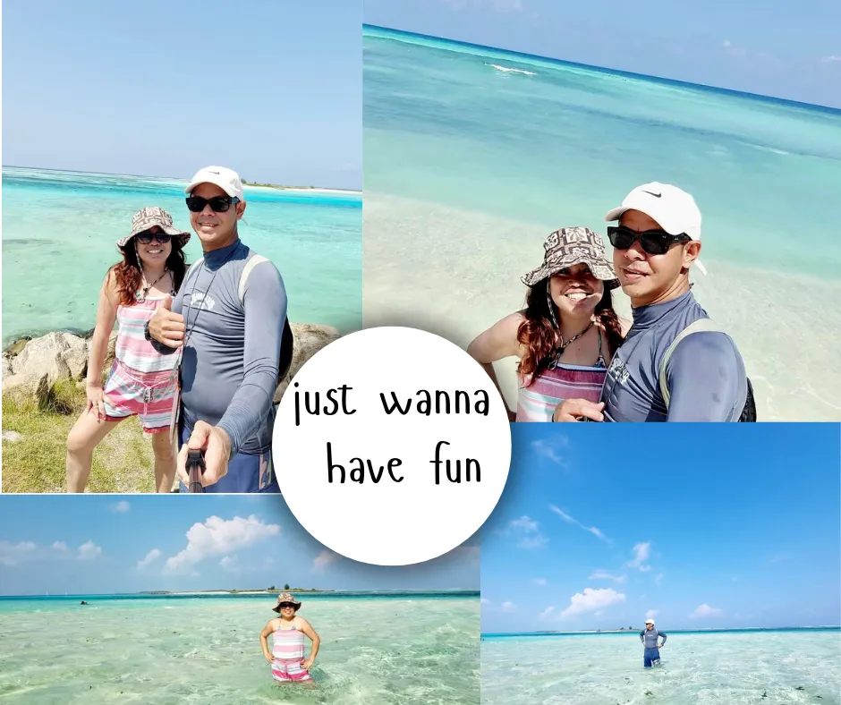 just wanna have fun (2).png