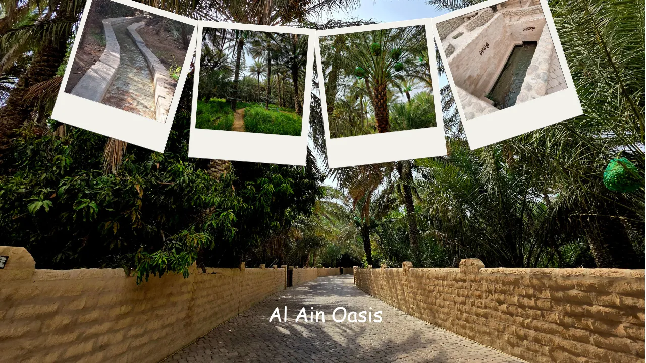 Al Ain Oasis.png
