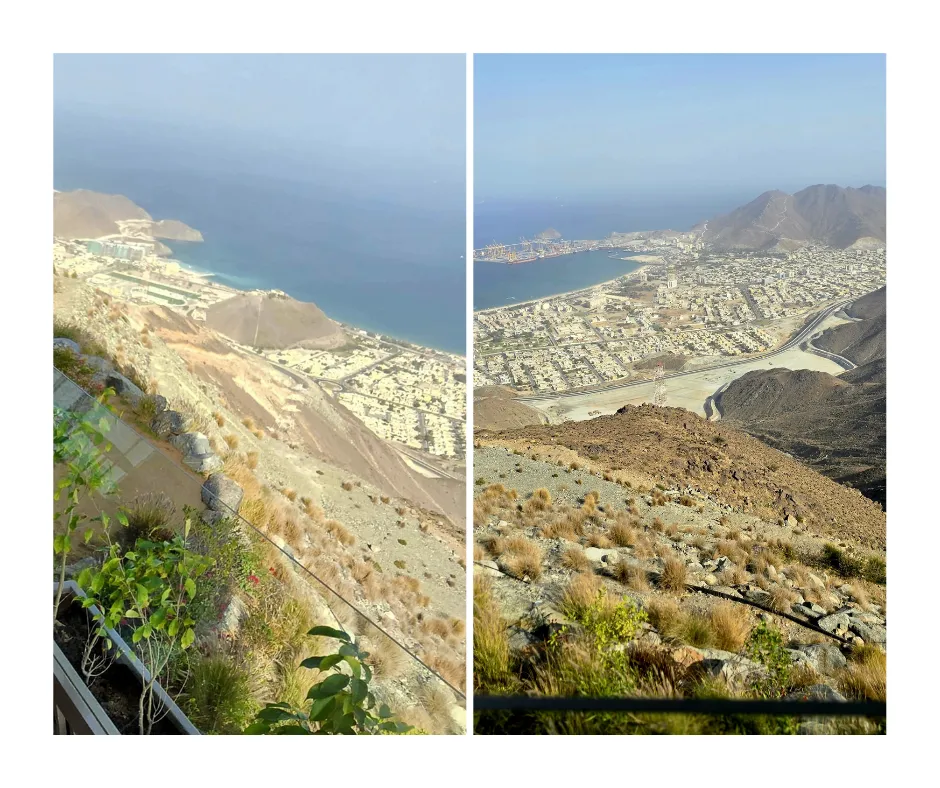 view (2).png