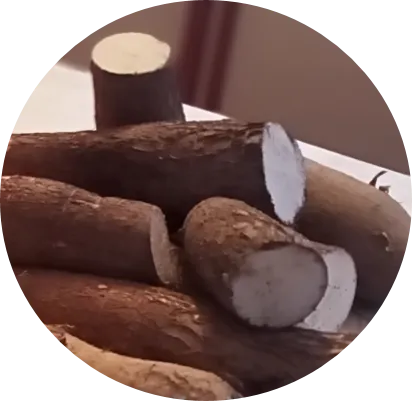 YUCA.png