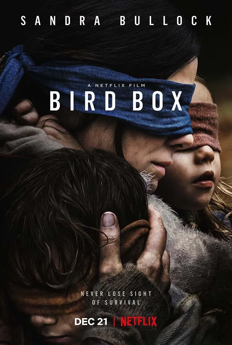 bird_box-860040347-large.jpg