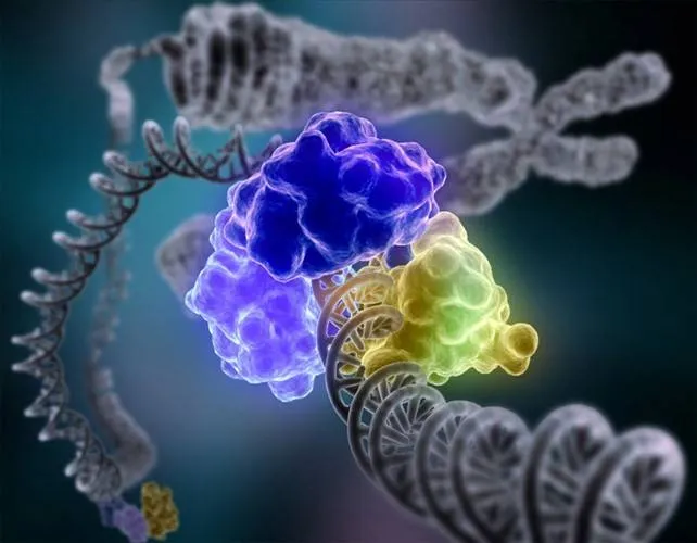 Disenan-modelos-matematicos-para-descifrar-problemas-biologicos.jpg