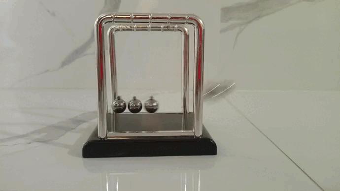 VID_20240619_160817.gif