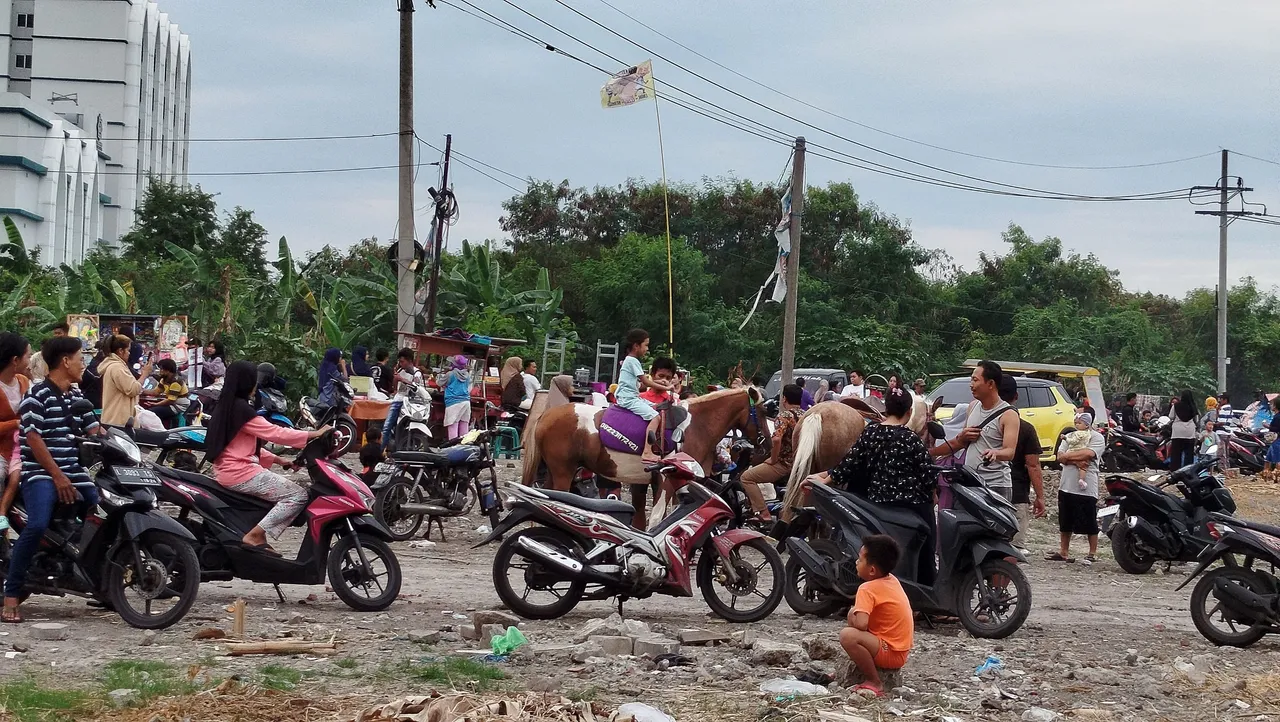 anak kecil naik kuda 2