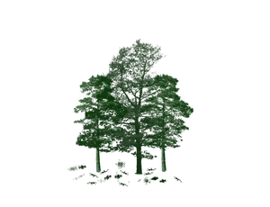 2.png
