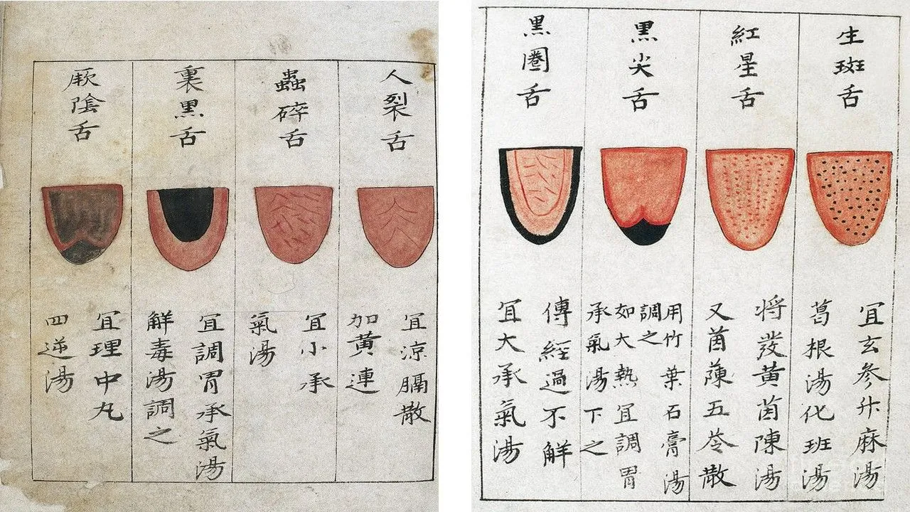 Tongue Charts.jpg