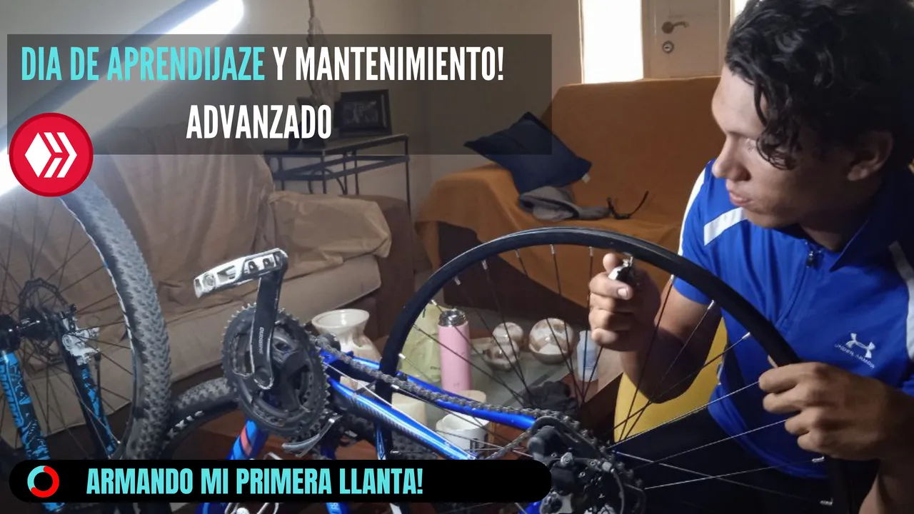 CRIPTOVERDE.png
