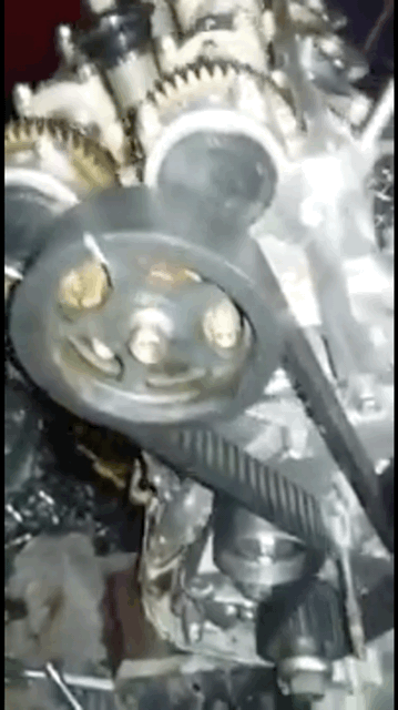 5D7716BE-5DFB-4257-AD82-7CA65F7087AF.gif