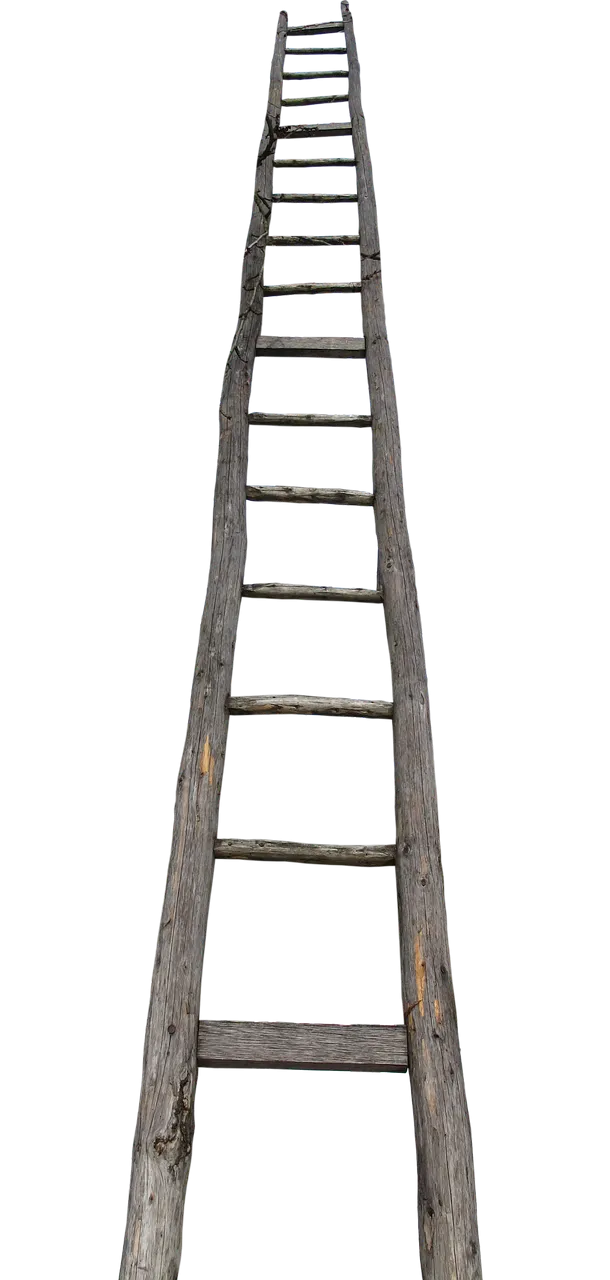 head-2777376_1280.png
