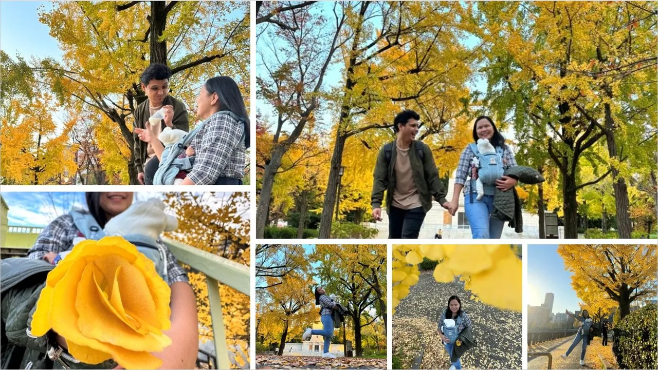 Ohana under Ginkgo Leaves.jpg