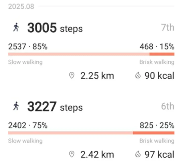 dailysteps.jpg