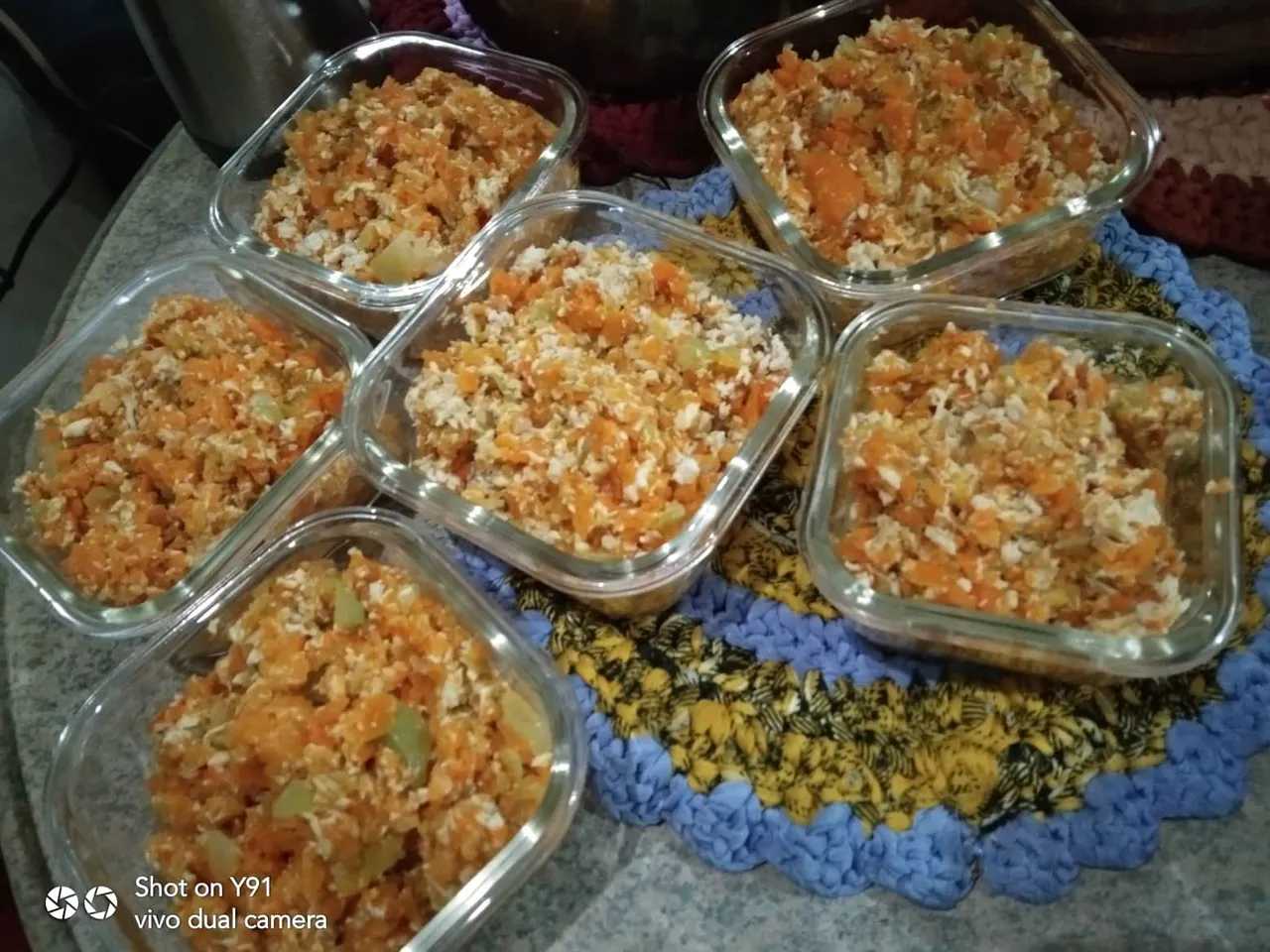 homemadekittyfood.jpg