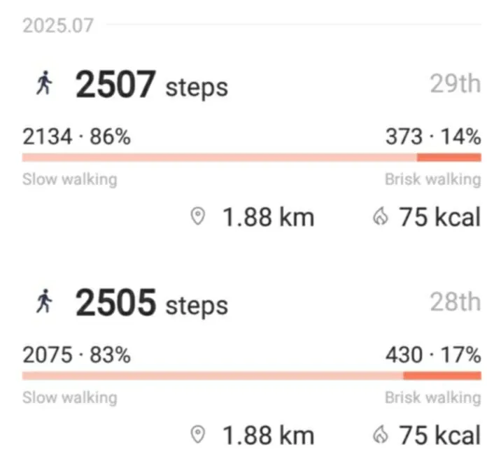 dailysteps.jpg