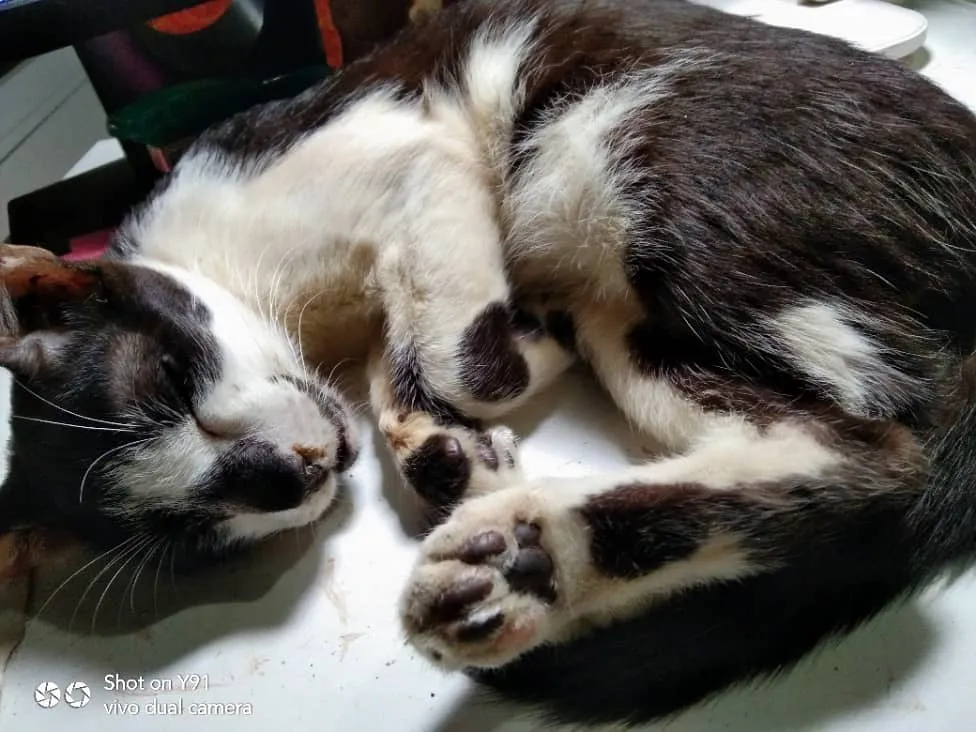 tinytoebeanies.jpg