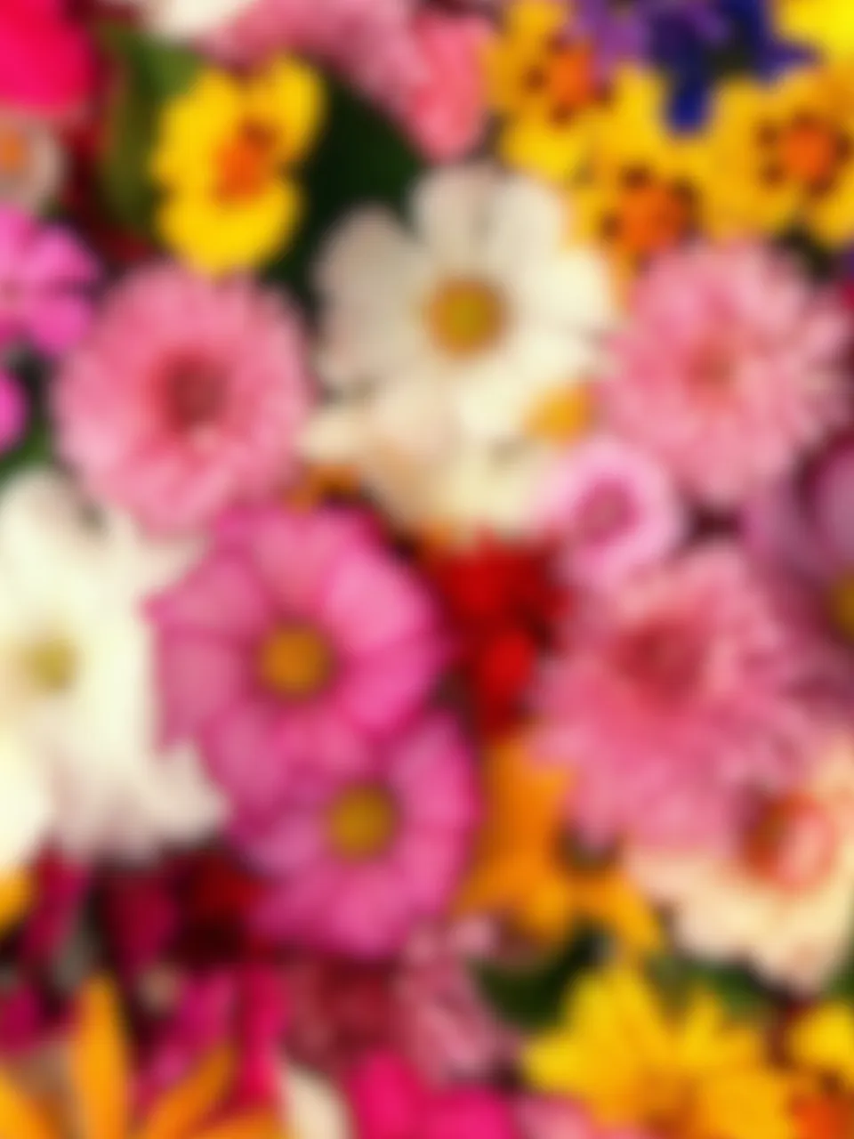 ARTE (2).png