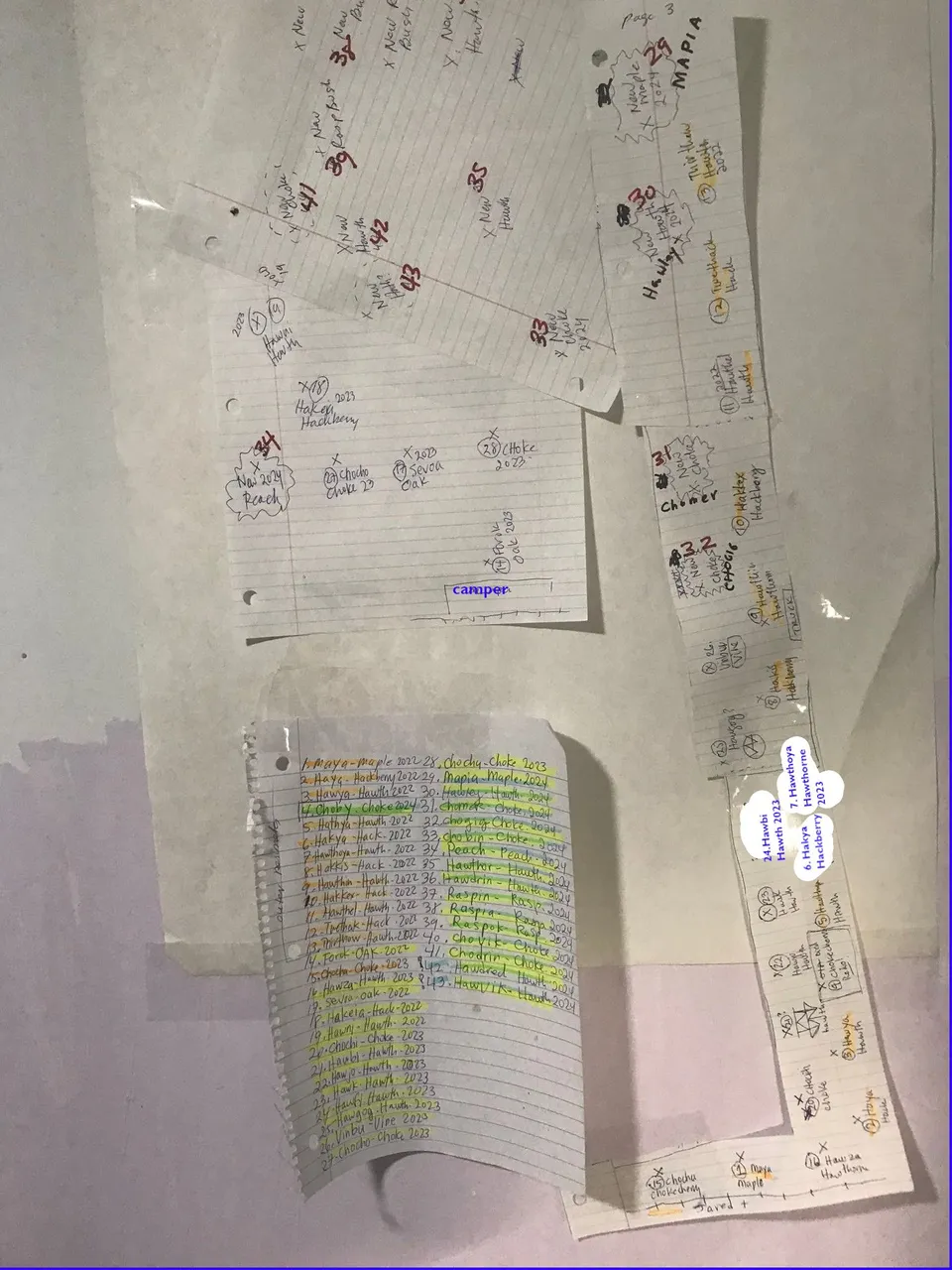 map of the trees.jpeg