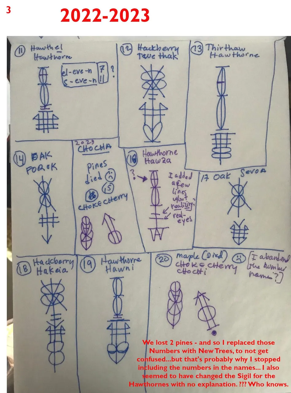 2022-23-sigils.jpeg