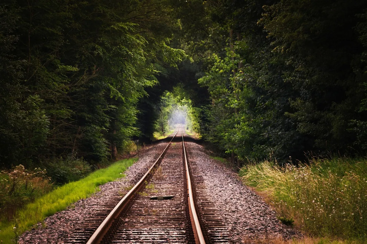 rails-416460_1920.jpg