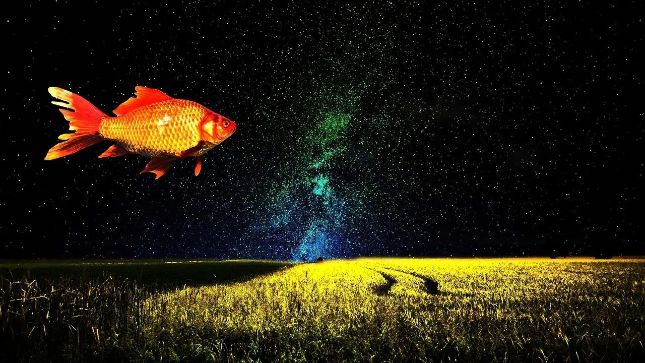 goldfish-1229772_1280.jpg