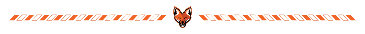 Divider_1-ezgif.com-webp-to-png-converter.png