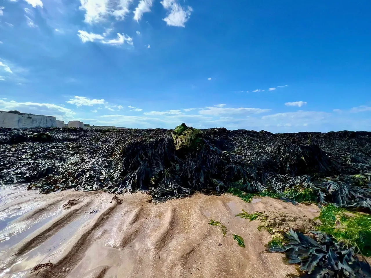 From distance, on the left you can see the wall of Kings bay beach.