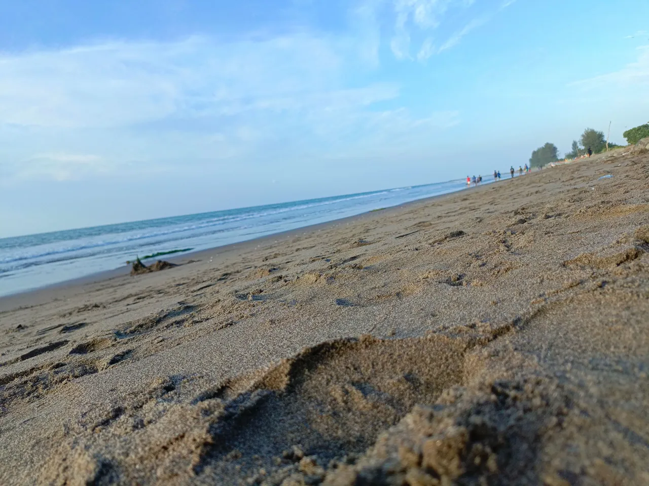 IMG_20230725_175604_611.jpg