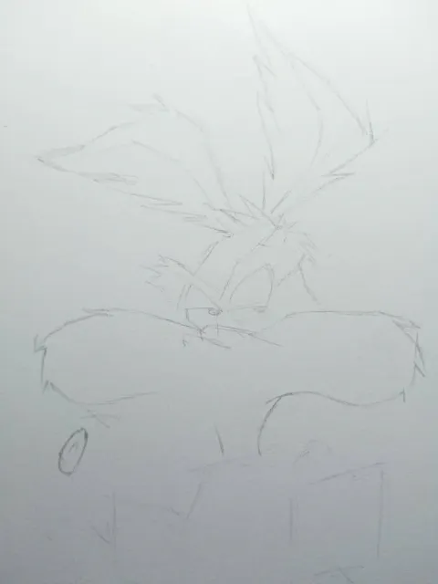 coyote1.jpeg