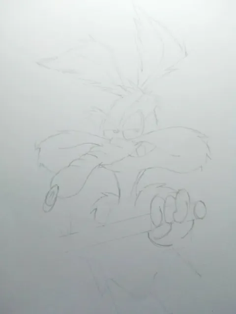 coyote2.jpeg