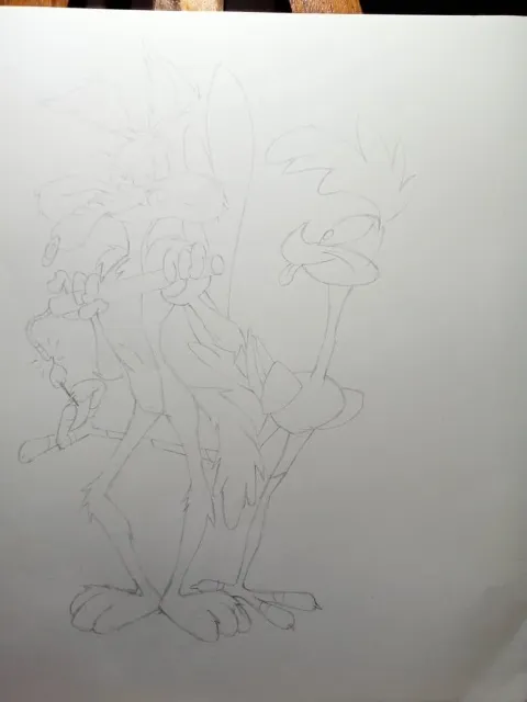 coyote6.jpeg