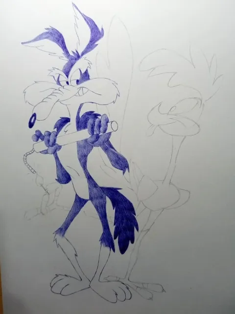 coyote9.jpeg