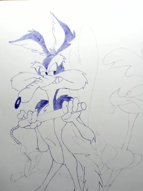 coyote8.jpeg